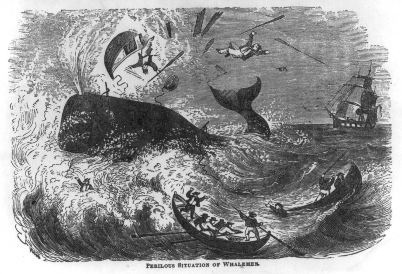 “Perilous Situation of Whalemen,” 1861.
